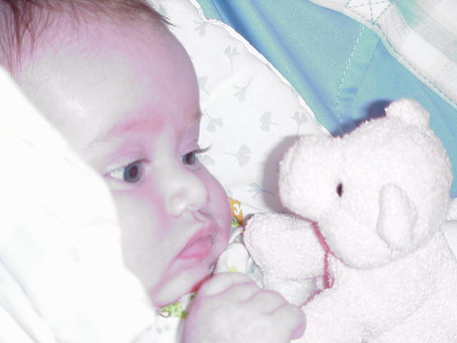 Brianna Stares Intently at the Teddy Bear