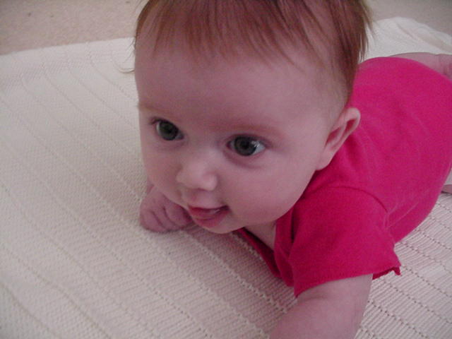 I'm gonna get that toy over there...